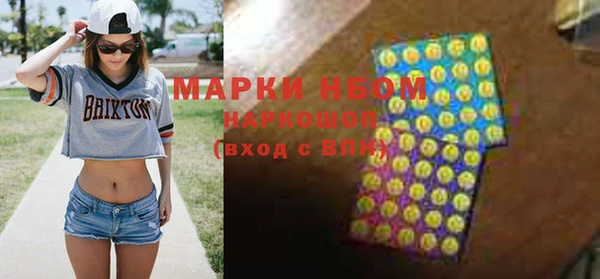 стаф Горняк