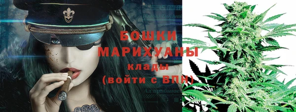 бошки Горнозаводск