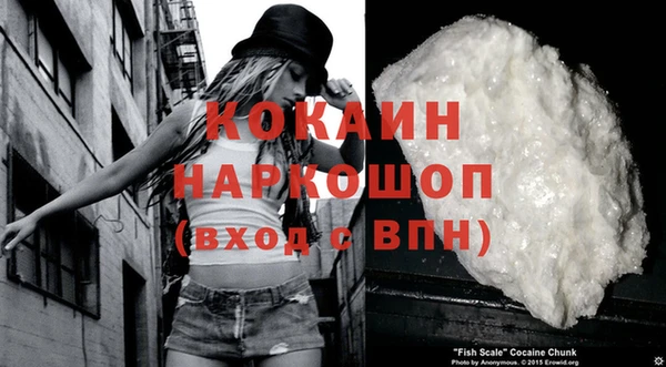 стаф Горняк