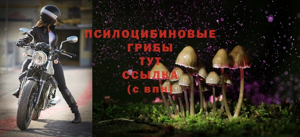 стаф Горняк
