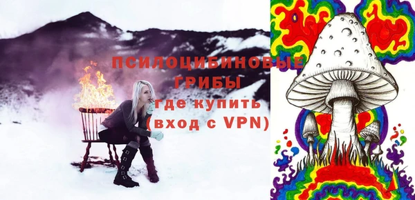 не бодяженный Горно-Алтайск