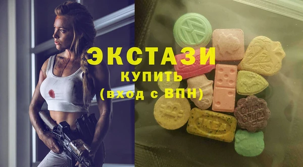 стаф Горняк